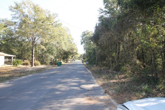 192 Mary Lane Crestview, FL 32536 - Photo 14 of 15 a view of a yard with plants and trees