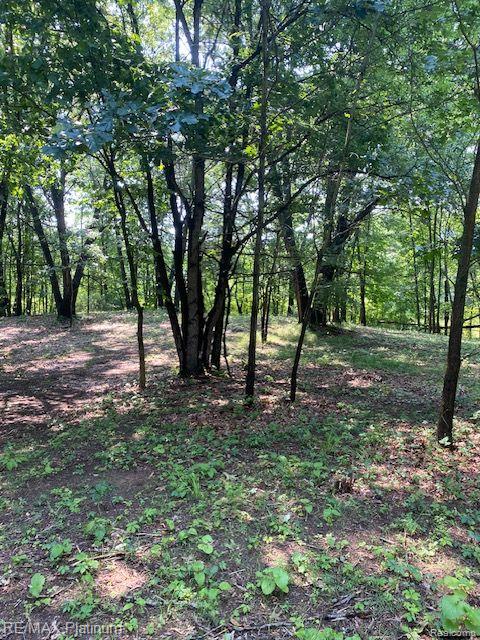7 Sleaford-parcel 7 - 2 Acres Road Howell, MI 48843 - Photo 2 of 45