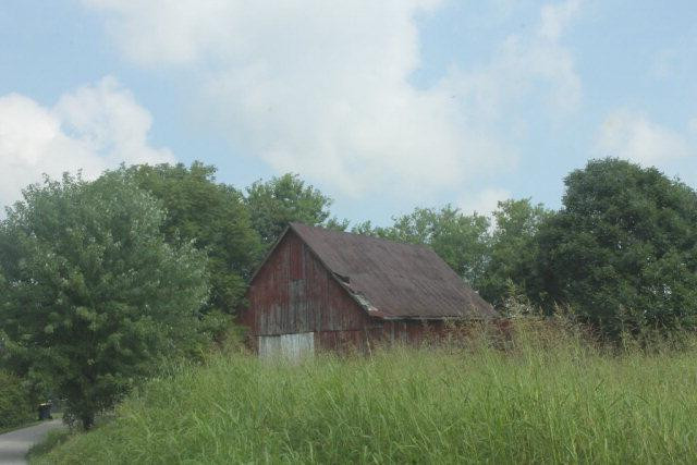 0 Carl Brown Road Mount Vernon, KY 40456 - Photo 12 of 17 Photo 12
