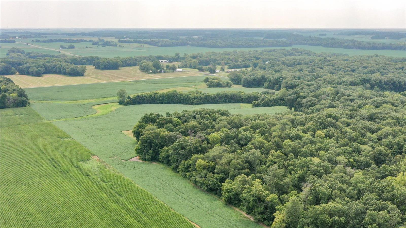 0 Pinoak Road Rockbridge, IL 62081 - Photo 11 of 14 Gallery Image 11