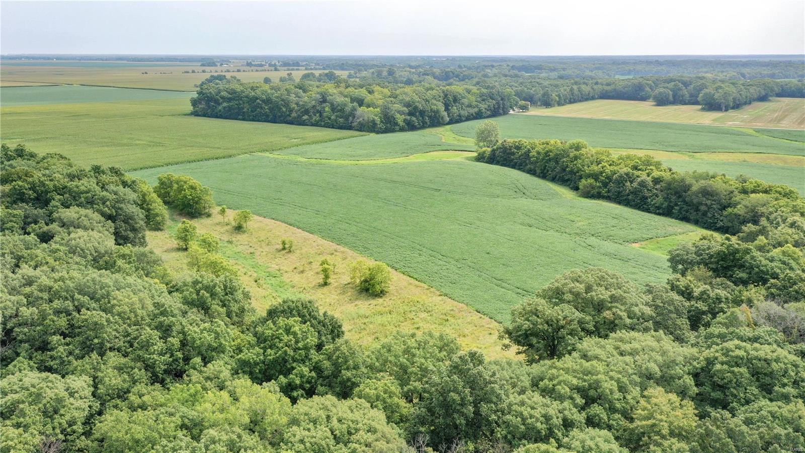 0 Pinoak Road Rockbridge, IL 62081 - Photo 13 of 14 Gallery Image 13