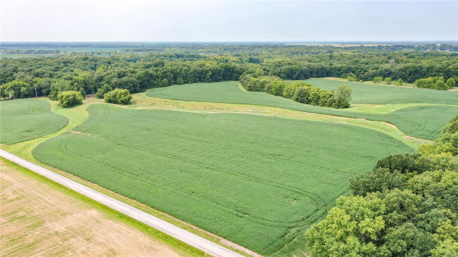 0 Pinoak Road Rockbridge, IL 62081 - Photo 6 of 14 Gallery Image 6