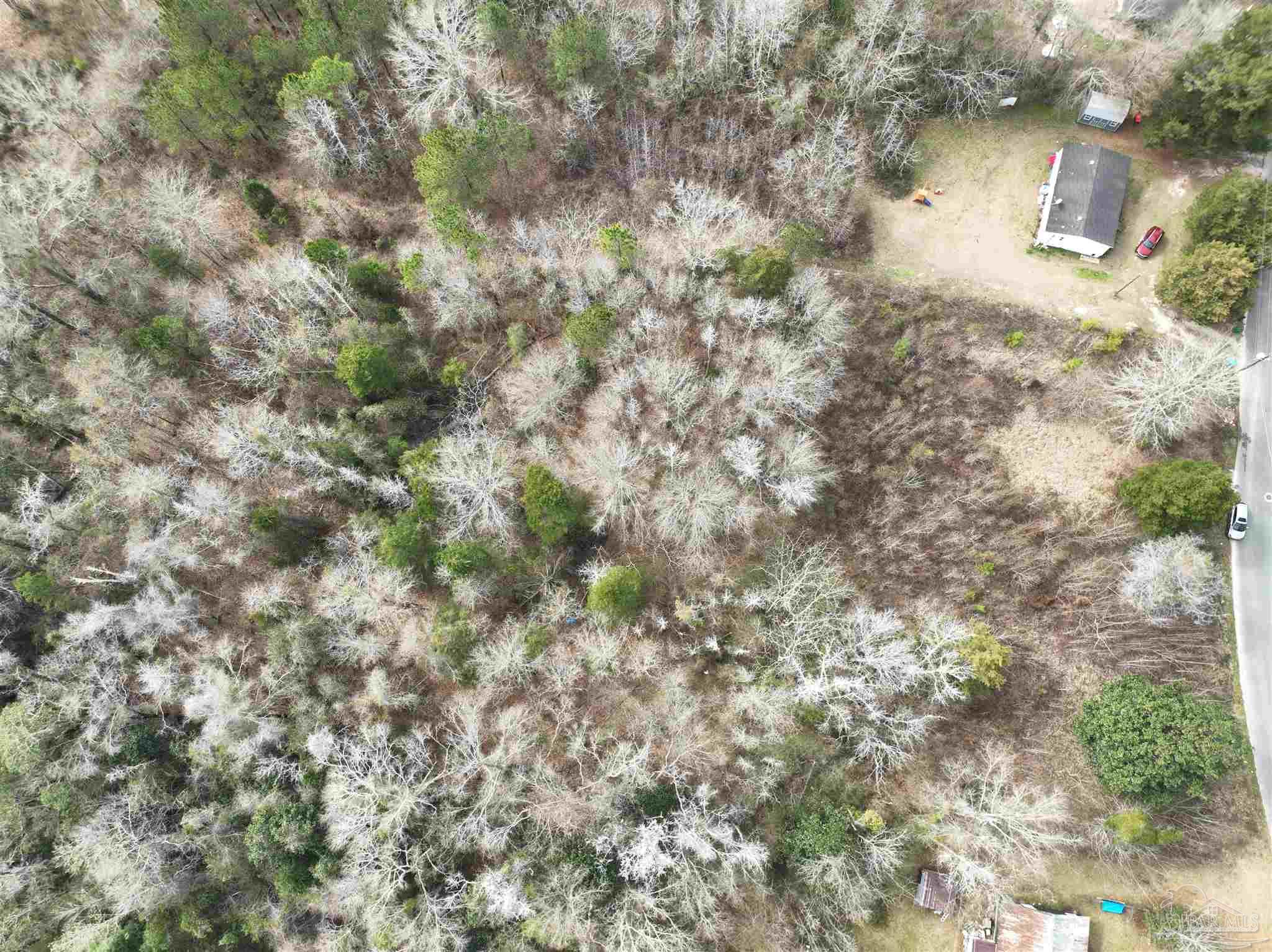 1041 Freedom Road Century, FL 32535 - Photo 2 of 4 a view of a yard with a tree