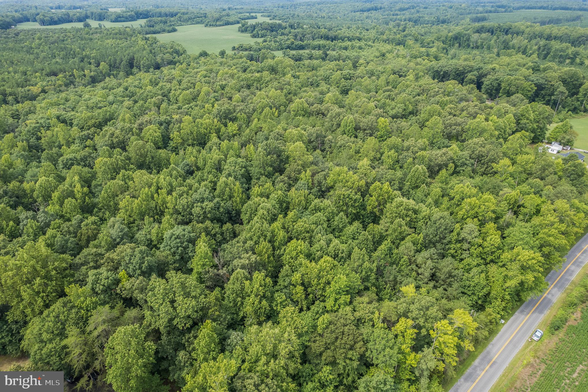 Lot 8 Sparta Road Milford, VA 22514 - Photo 5 of 13 Gallery Image 5