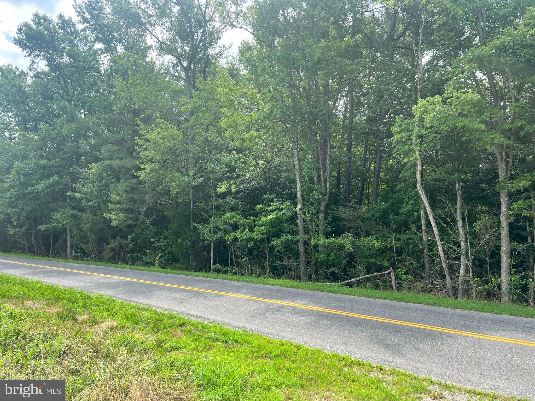 Lot 8 Sparta Road Milford, VA 22514 - Photo 8 of 13 Road frontage