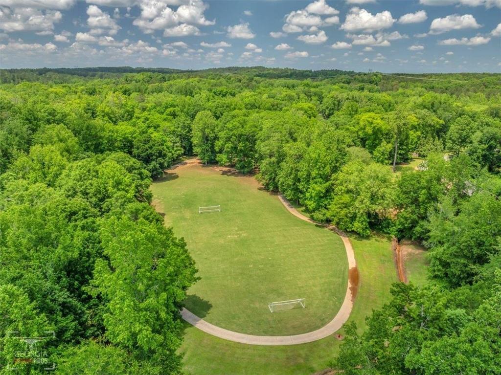 103 Heights Avenue Forsyth, GA 31029 - Photo 85 of 101