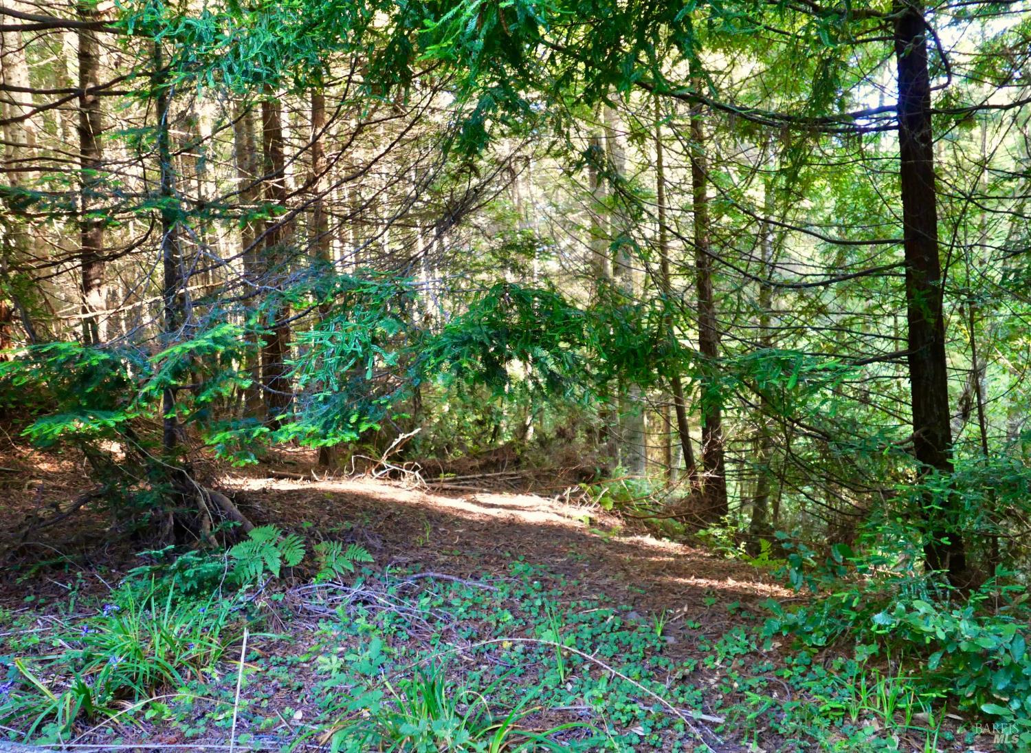 19130 Dorffi Road Fort Bragg, CA 95437 - Photo 3 of 10 Dorffi