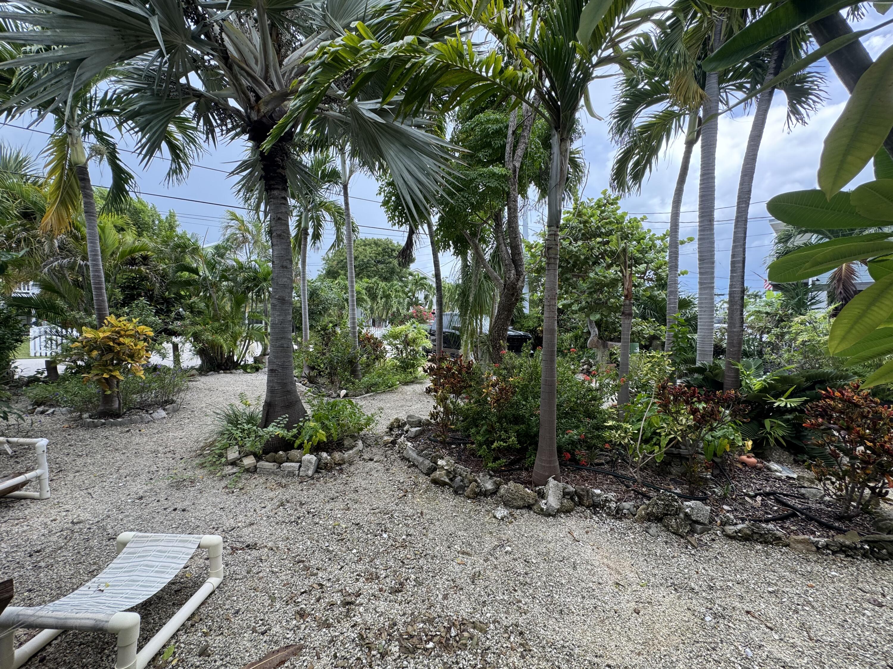 22970 Sharp Lane Cudjoe, FL 33042 - Photo 3 of 45 a view of a garden with a tree