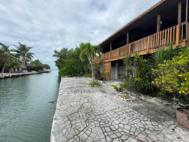 a view of a backyard with plants