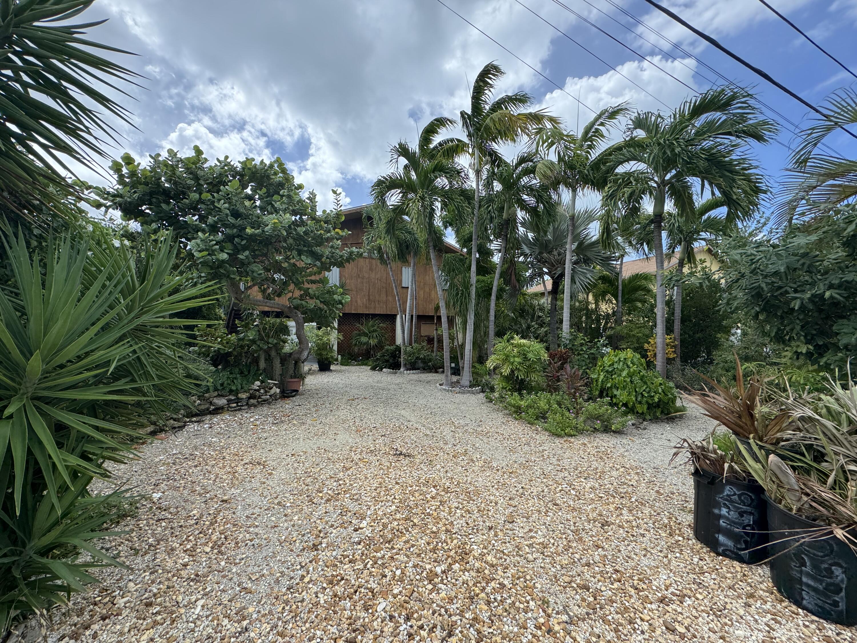 22970 Sharp Lane Cudjoe, FL 33042 - Photo 8 of 45 a plant is in a garden