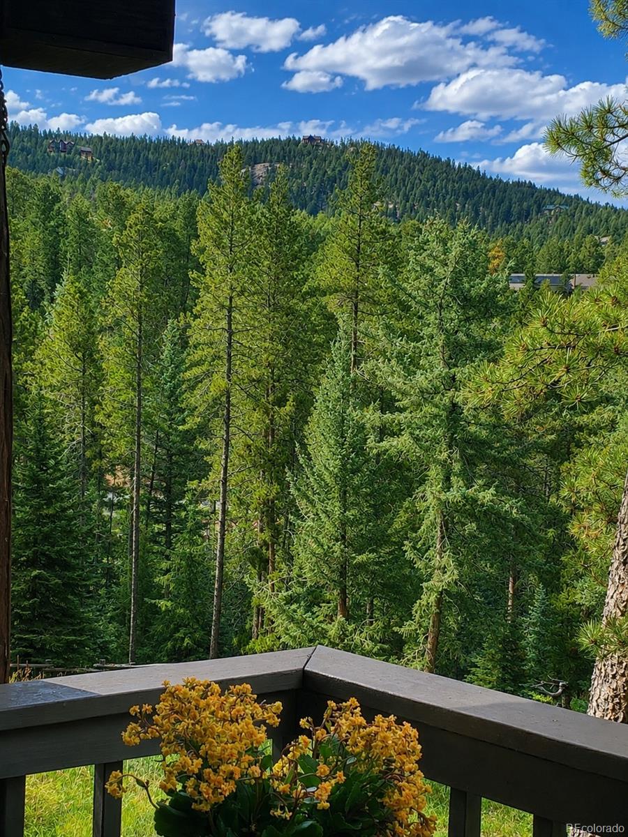 11957 South Elk Trail Road Conifer, CO 80433 - Photo 42 of 50 Gallery Image 42
