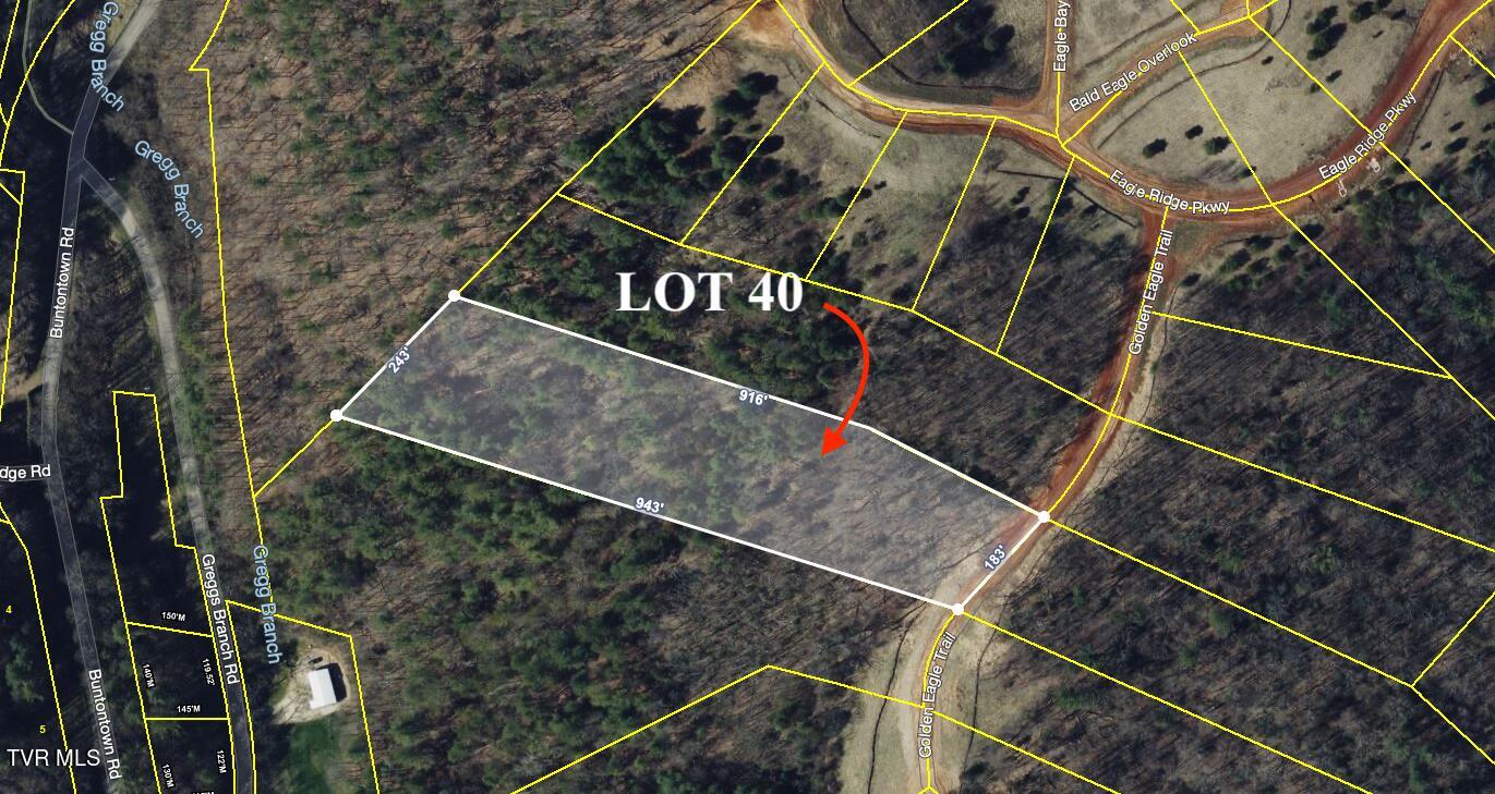 Lot 40 Cowan Town Road, Unit 40 Butler, TN 37640 - Photo 58 of 117 Screen Shot 2024-05-02 at 4.53.20 PM