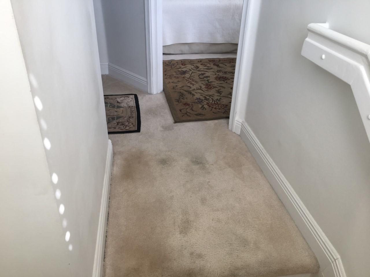555 Northwest 35th Place Boca Raton, FL 33431 - Photo 25 of 43 a view of entryway