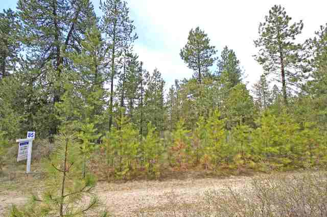 39411 North Jackson Road Elk, WA 99009 - Photo 1 of 9