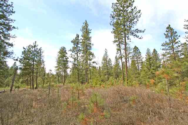 39411 North Jackson Road Elk, WA 99009 - Photo 2 of 9