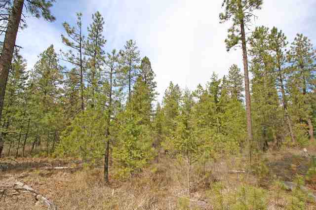 39411 North Jackson Road Elk, WA 99009 - Photo 4 of 9
