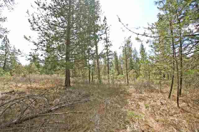 39411 North Jackson Road Elk, WA 99009 - Photo 5 of 9