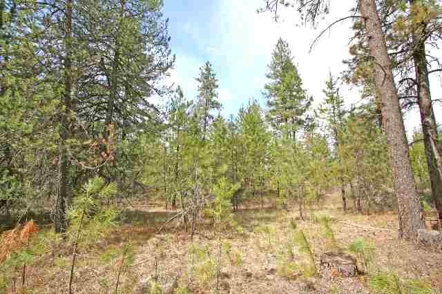 39411 North Jackson Road Elk, WA 99009 - Photo 6 of 9