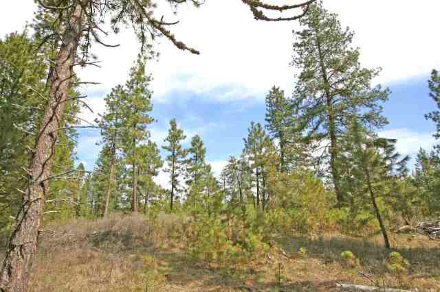 39411 North Jackson Road Elk, WA 99009 - Photo 7 of 9