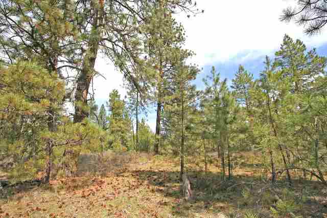 39411 North Jackson Road Elk, WA 99009 - Photo 8 of 9