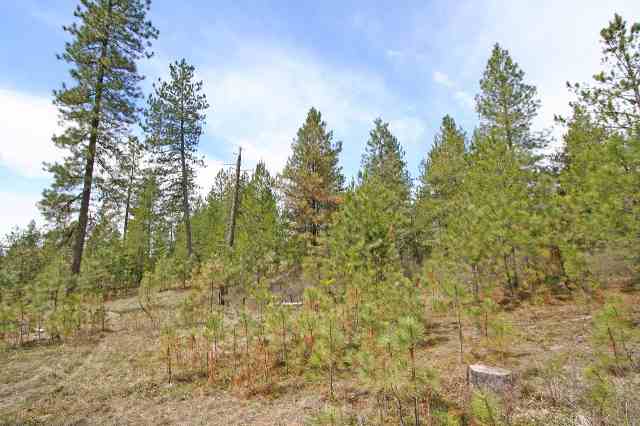 39411 North Jackson Road Elk, WA 99009 - Photo 9 of 9