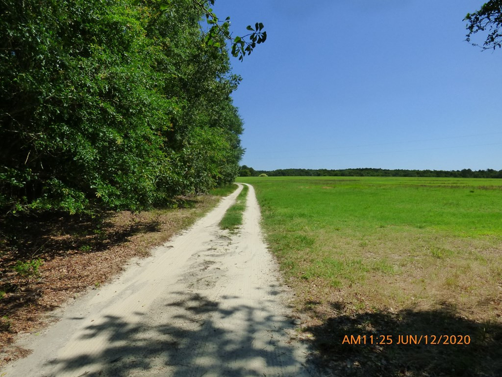 1615 Dairy Road Monetta, SC 29105 - Photo 20 of 30