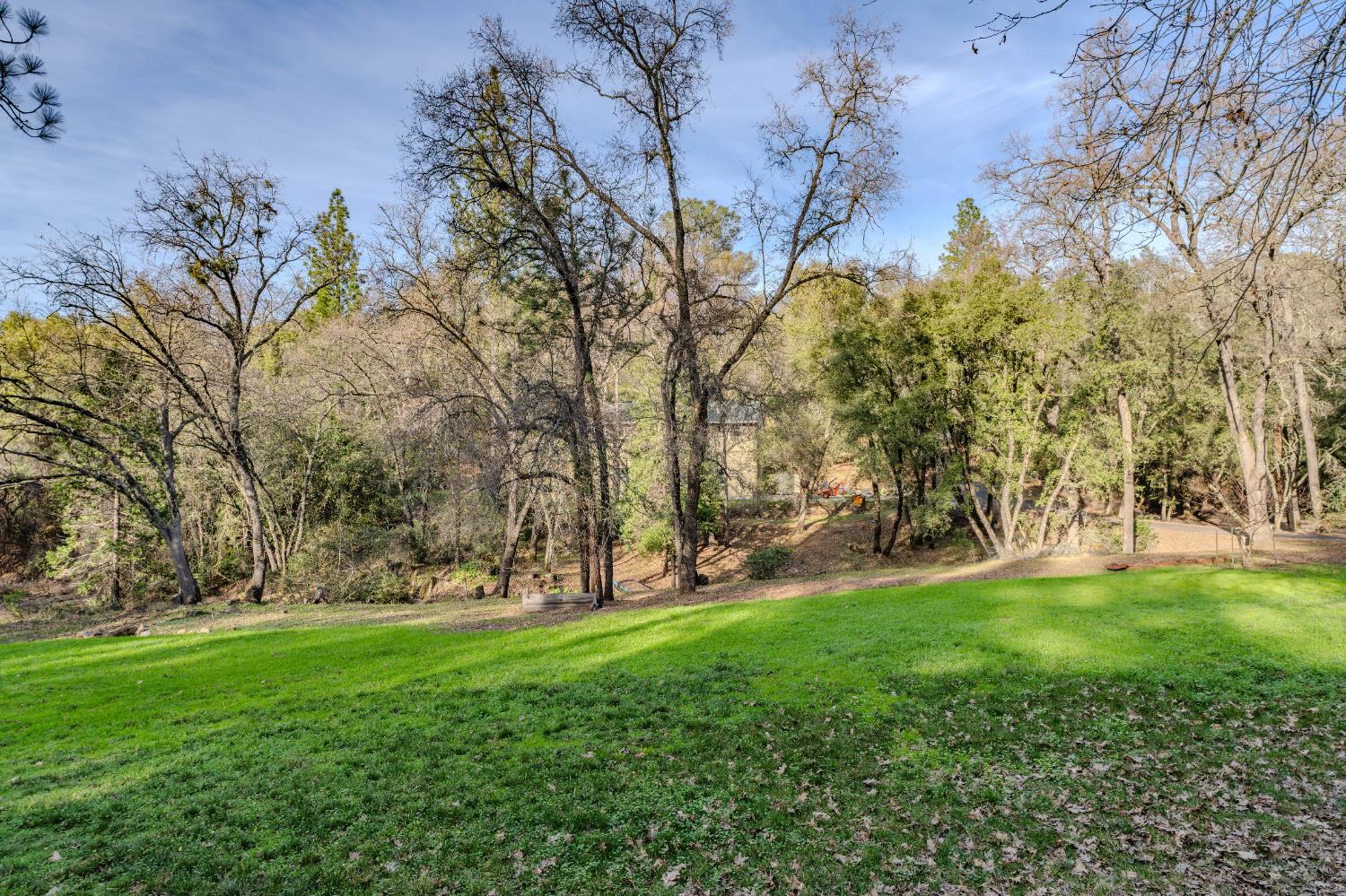 16890 Wilderness Way Jackson, CA 95642 - Photo 52 of 90