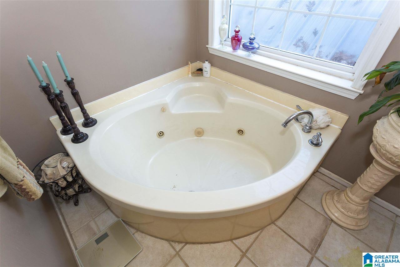 384 Bill Gross Camp Road Bessemer, AL 35023 - Photo 24 of 47 Gallery Image 24