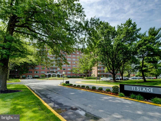 a view of a park with large trees