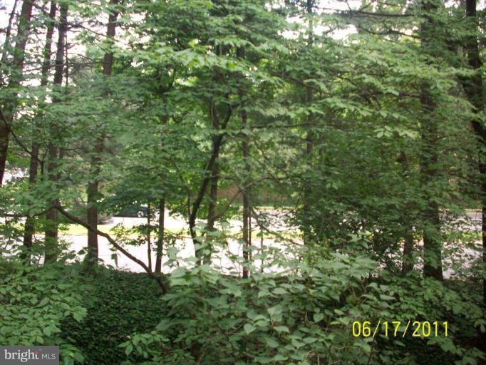 11609 Windbluff Court, Unit 9/009 Reston, VA 20191 - Photo 14 of 26 Back yard
