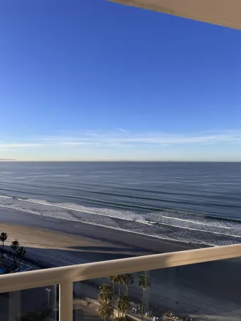 a view of a floor to ceiling window and a fireplace