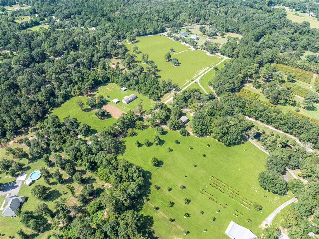 79100 Crump Road Bush, LA 70431 - Photo 21 of 24