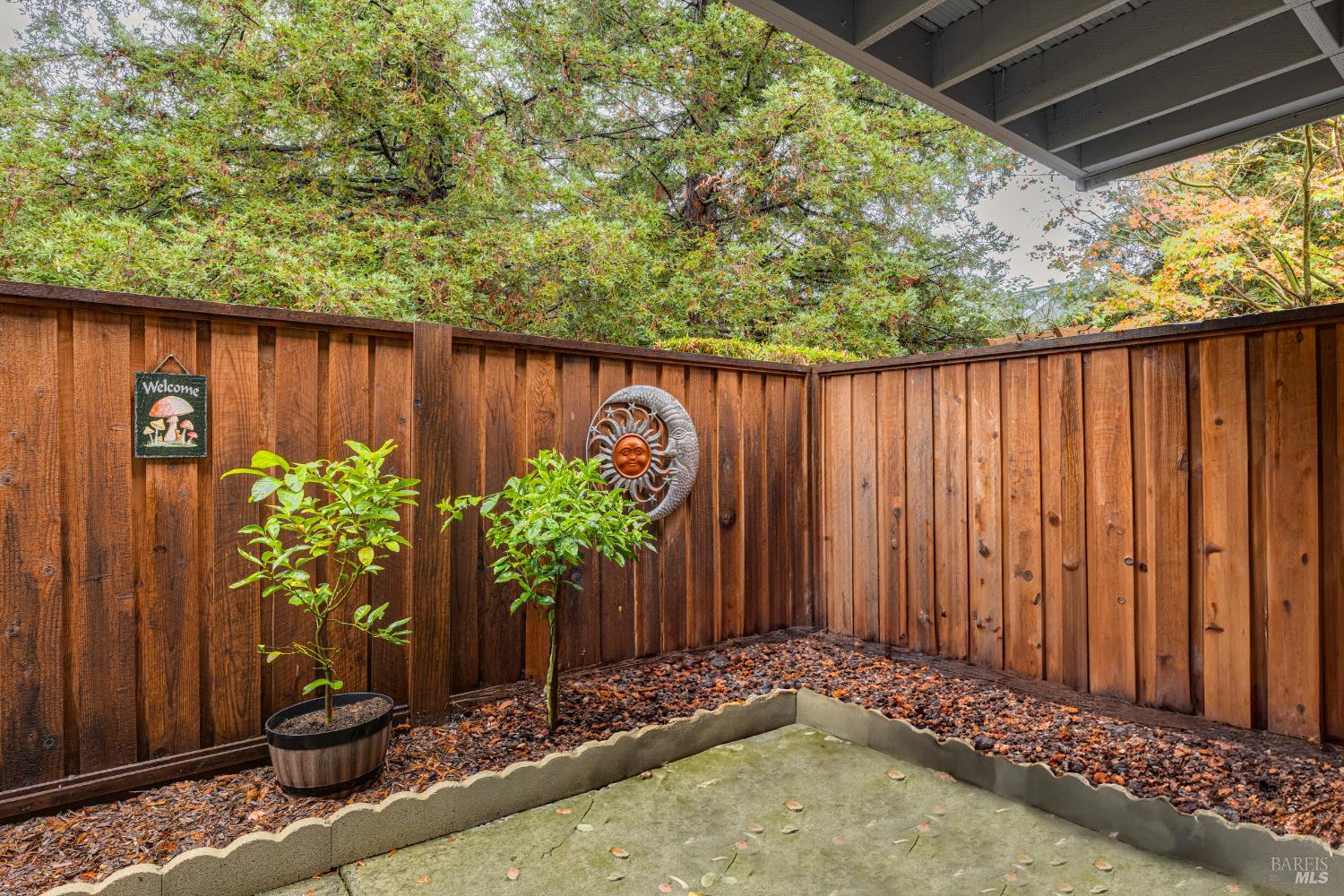 668 Racquet Club Circle Rohnert Park, CA 94928 - Photo 17 of 28 a view of a garden with potted plants