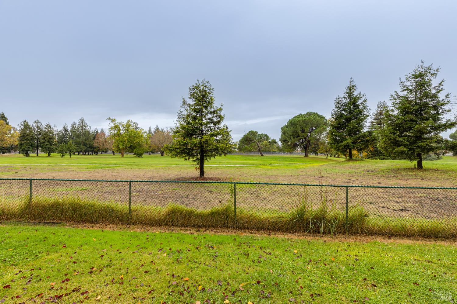 668 Racquet Club Circle Rohnert Park, CA 94928 - Photo 28 of 28 a view of a yard