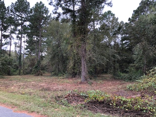 0 Cedar Drive Cochran, GA 31014 - Photo 2 of 11