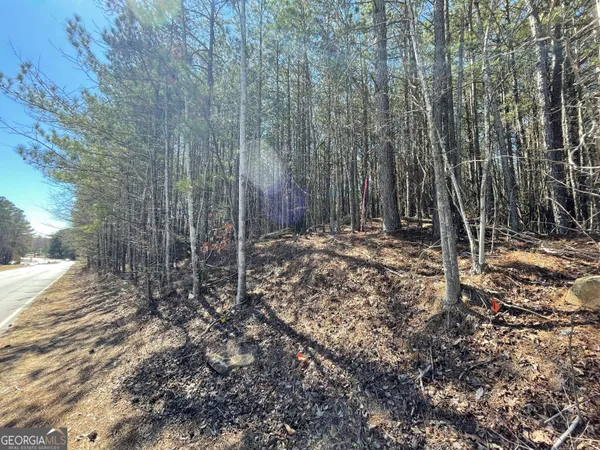 $135,000 | 0 Shannon Parkway, Union City, GA 30291