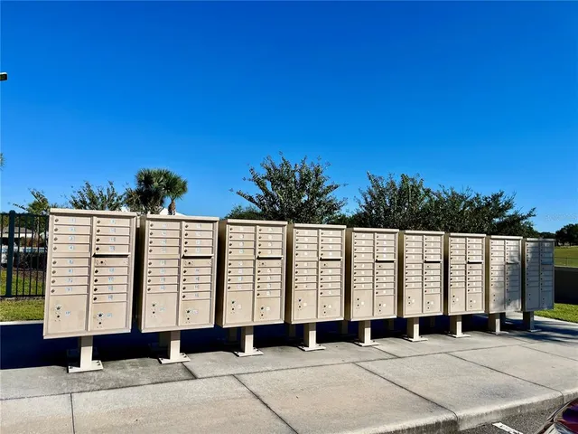 a swimming pool with a yard and palm trees