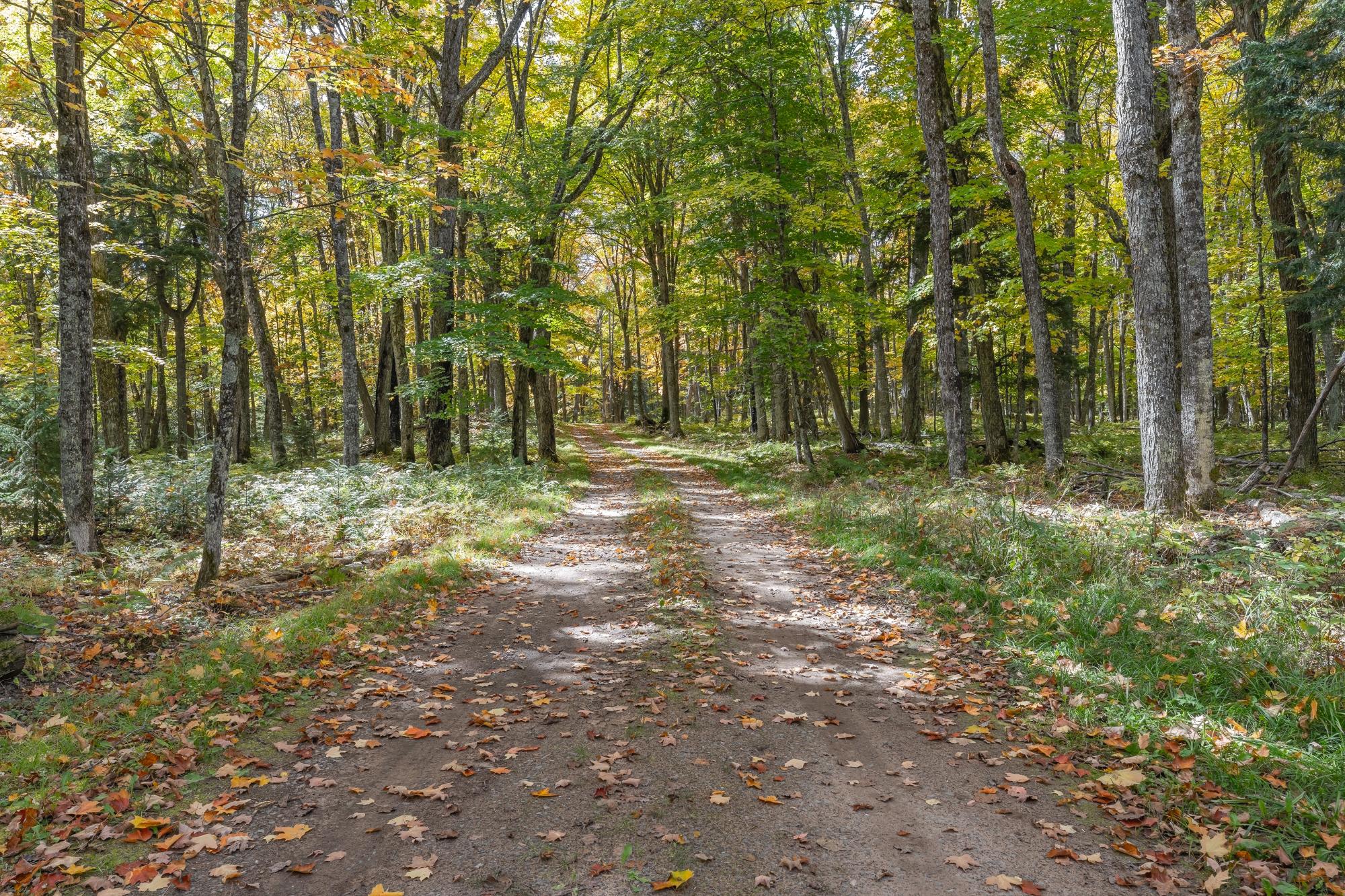 N2820 Forest Road Watersmeet, MI 49969 - Photo 62 of 66 Gallery Image 62