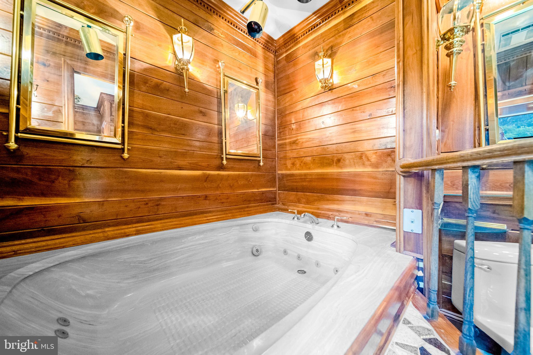 18189 Sands Road Purcellville, VA 20132 - Photo 34 of 145 Spacious two-person soaking tub.