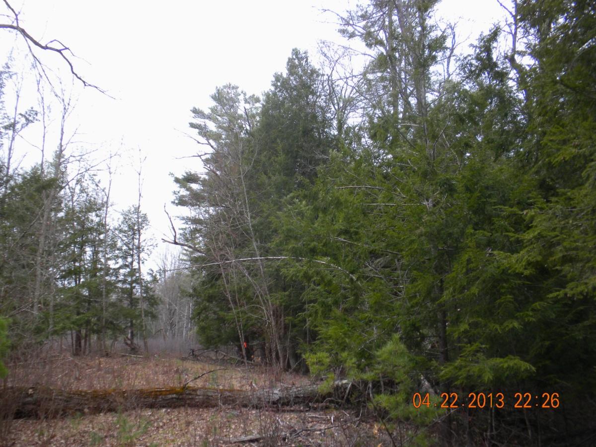 85 Mitchell Hill Road Gorham, ME 04038 - Photo 25 of 39 DSCN6301 a