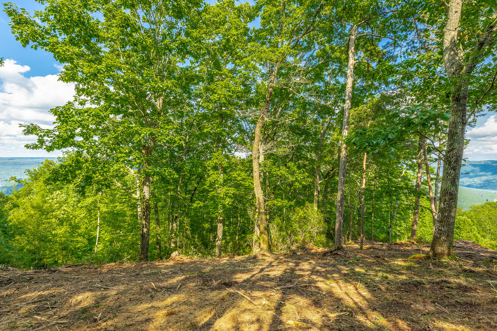0 Back Basin Trail, Unit LOT 1244 Chattanooga, TN 37419 - Photo 29 of 119 MCW Correction HD-35