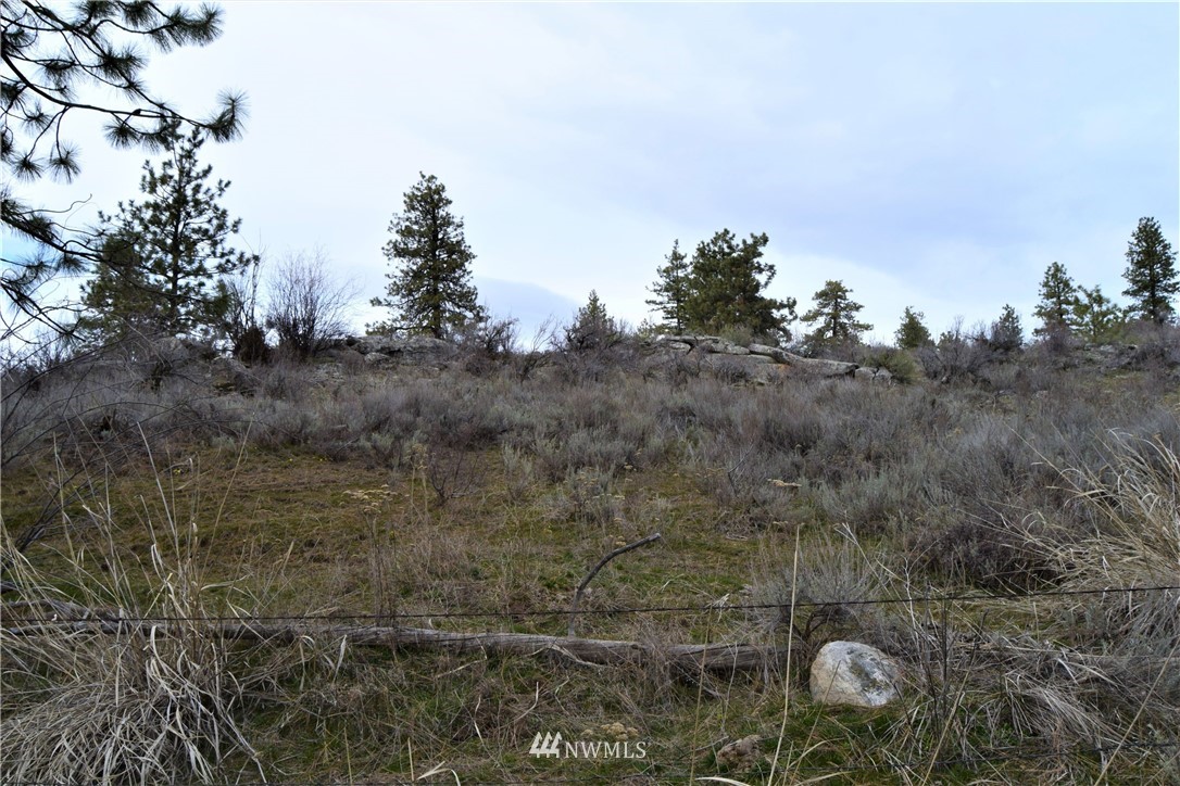 223 Q Cameron Lake Loop Road Okanogan, WA 98840 - Photo 14 of 30 Gallery Image 14