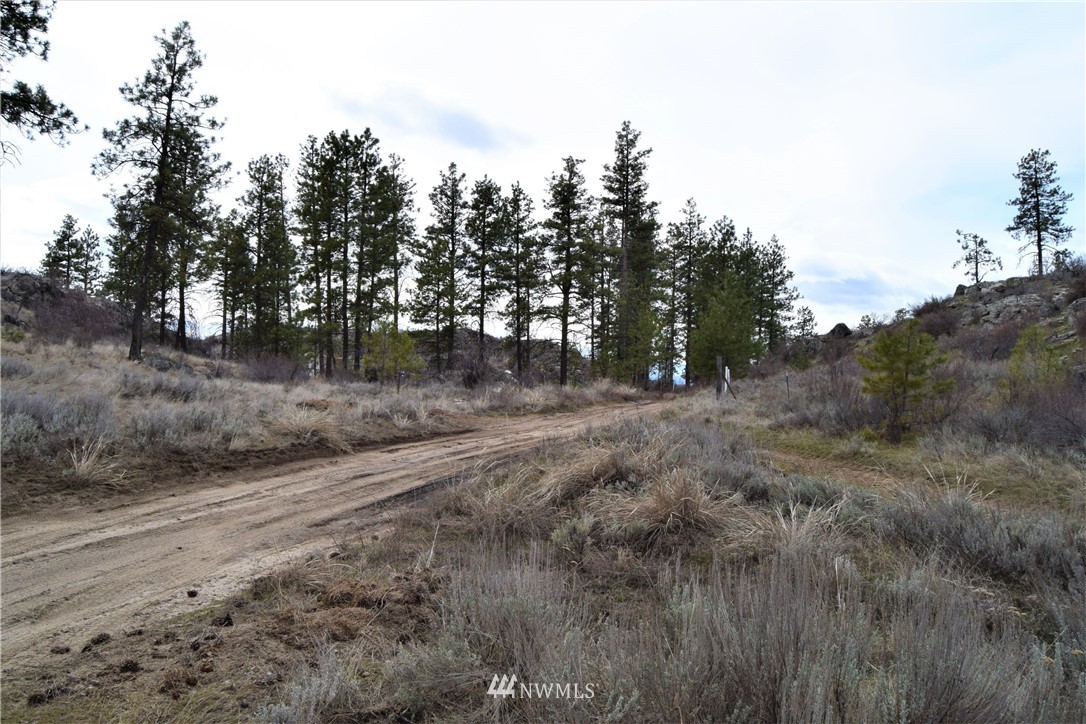 223 Q Cameron Lake Loop Road Okanogan, WA 98840 - Photo 18 of 30 Gallery Image 18