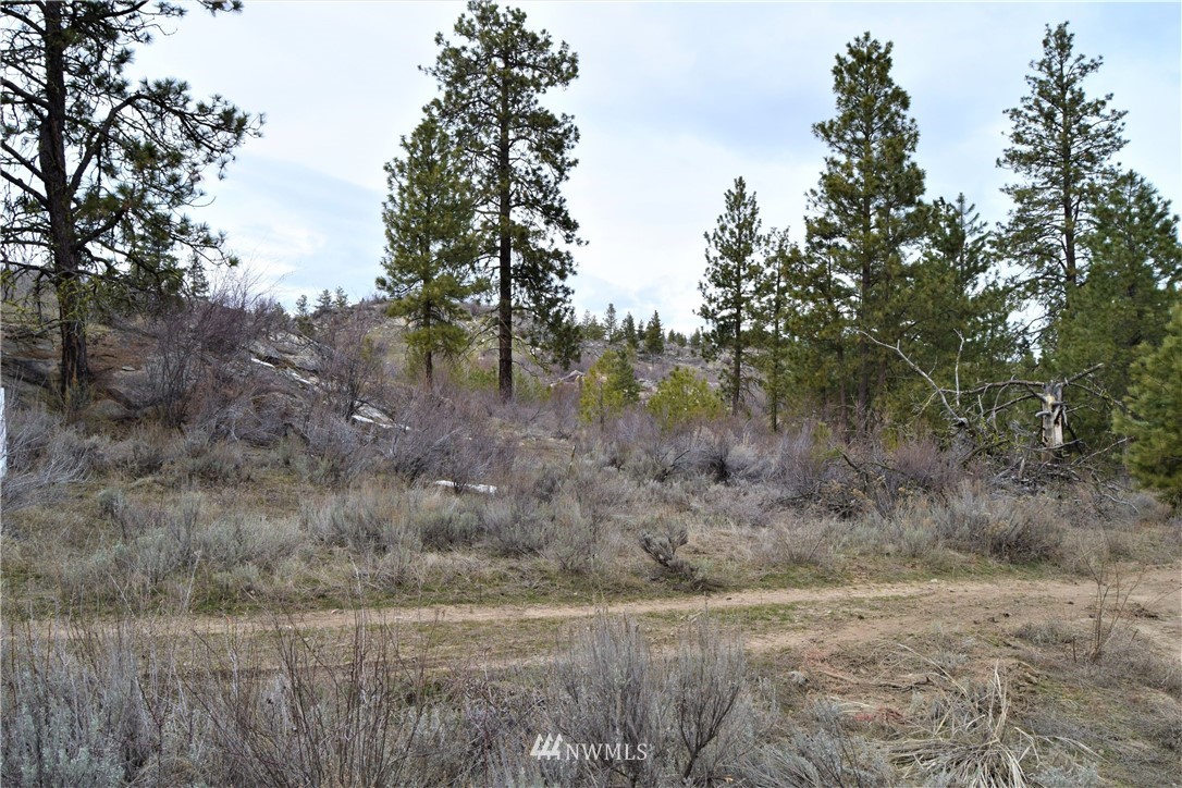 223 Q Cameron Lake Loop Road Okanogan, WA 98840 - Photo 19 of 30 Gallery Image 19