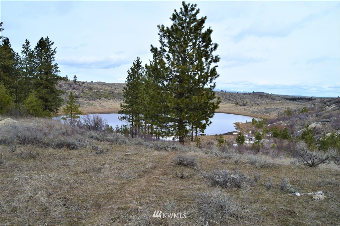 223 Q Cameron Lake Loop Road Okanogan, WA 98840 - Photo 21 of 30 Gallery Image 21