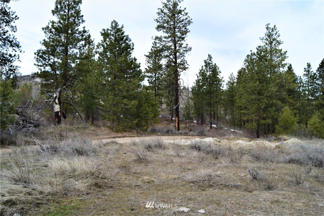 223 Q Cameron Lake Loop Road Okanogan, WA 98840 - Photo 22 of 30 Gallery Image 22