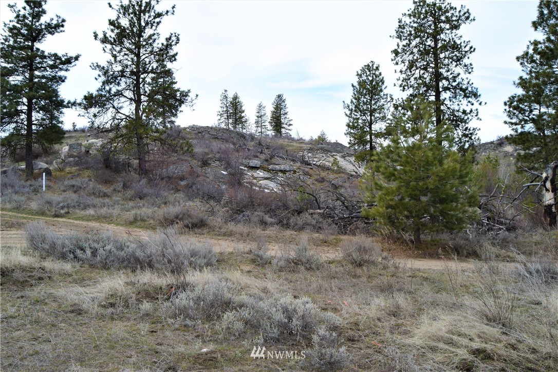223 Q Cameron Lake Loop Road Okanogan, WA 98840 - Photo 23 of 30 Gallery Image 23