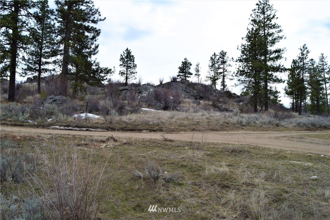 223 Q Cameron Lake Loop Road Okanogan, WA 98840 - Photo 24 of 30 Gallery Image 24