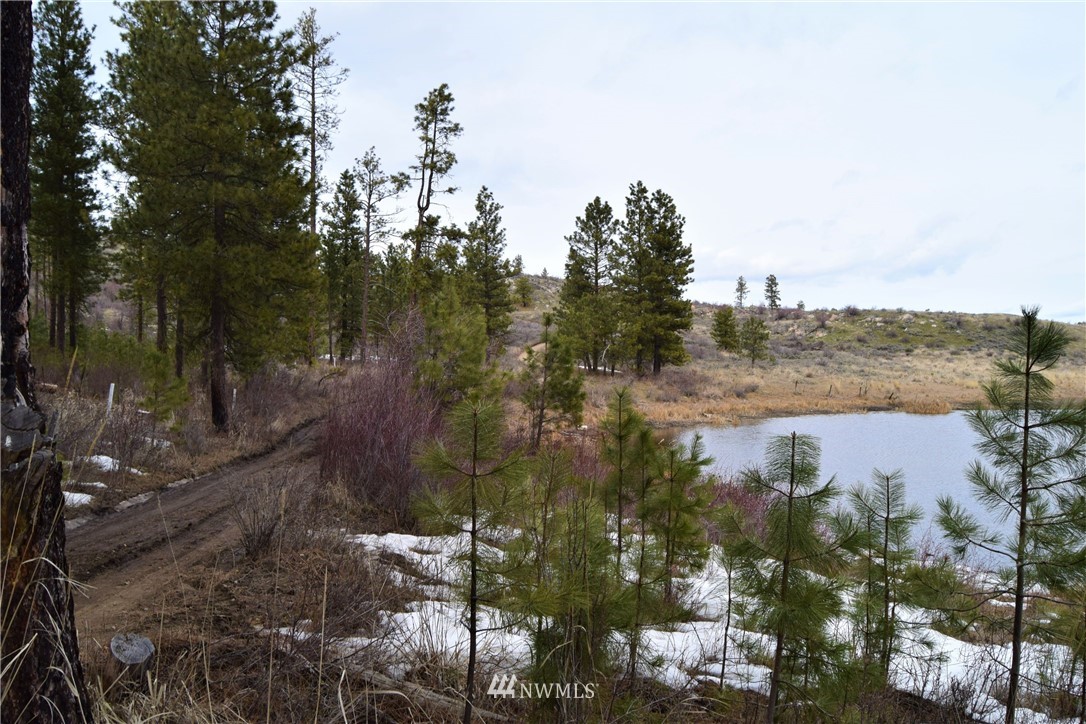 223 Q Cameron Lake Loop Road Okanogan, WA 98840 - Photo 25 of 30 Gallery Image 25