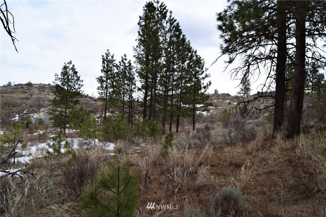 223 Q Cameron Lake Loop Road Okanogan, WA 98840 - Photo 26 of 30 Gallery Image 26